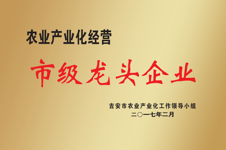市级龙头企业