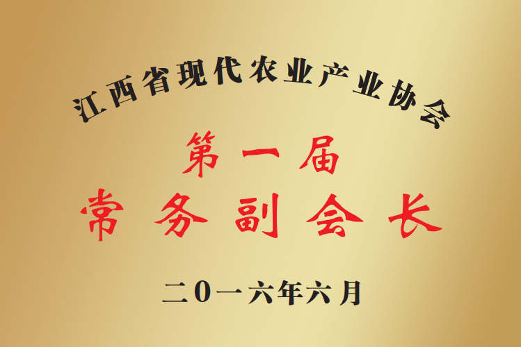 第一届常务副会长